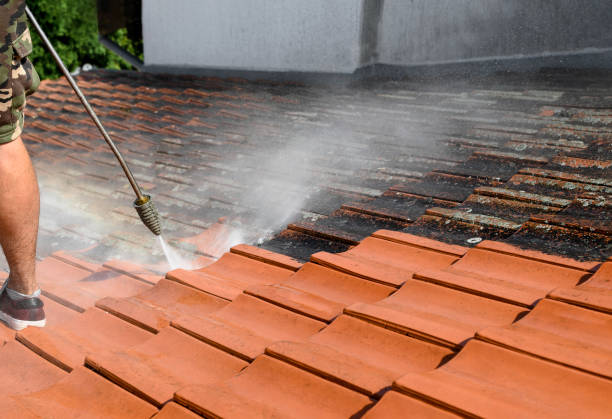 Best Deck Pressure Washing  in Crowley Lake, CA