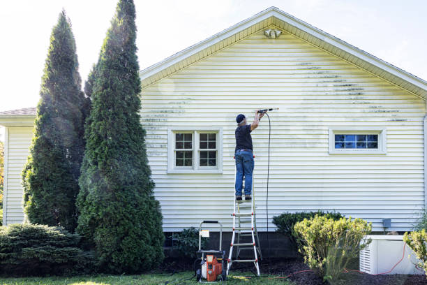 Best Residential Pressure Washing Services  in Crowley Lake, CA