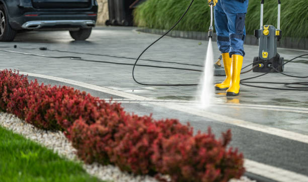 Best Local Pressure Washing Services  in Crowley Lake, CA