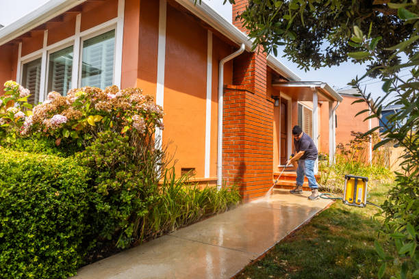 Best Residential Pressure Washing Services  in Crowley Lake, CA